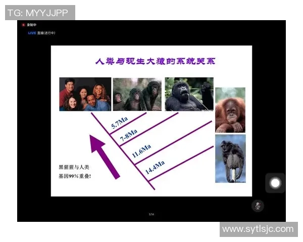 现代足球明星的魅力与影响力探讨及其在球迷心中的地位分析 现代足球明星的魅力与影响力探讨及其在球迷心中的地位分析